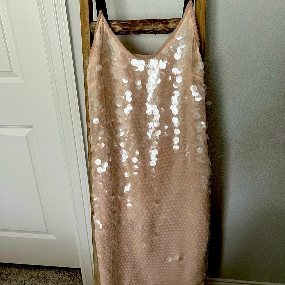 Zara Midi Nude Sequin Dress